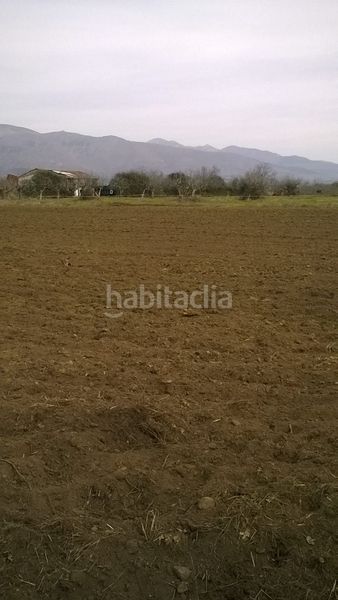 Foto 543b9dea-e8e5-477e-bc07-87ba59b06085. Finca rústica a Madrigal de la Vera