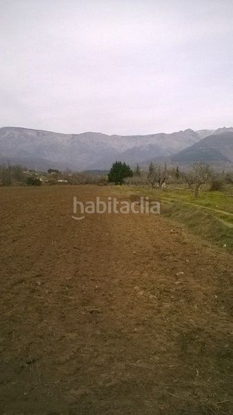 Foto b2e1b6d9-e17e-45d8-aba1-b7deeb5277c0. Finca rústica a Madrigal de la Vera