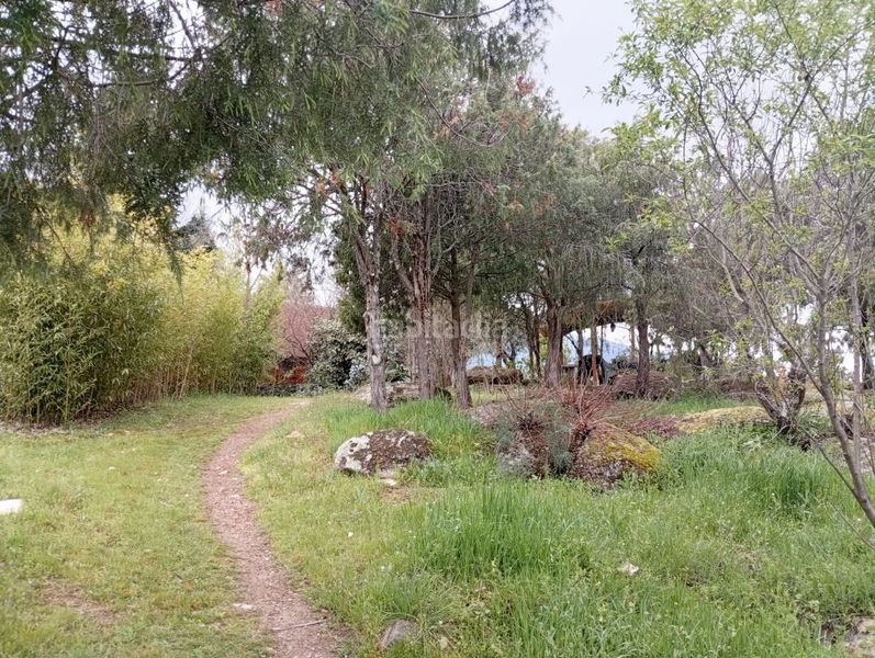 Foto 4f8e3fd6-e3fd-49b4-8acc-83c3bb41f613. Finca rústica a Tiemblo (El)