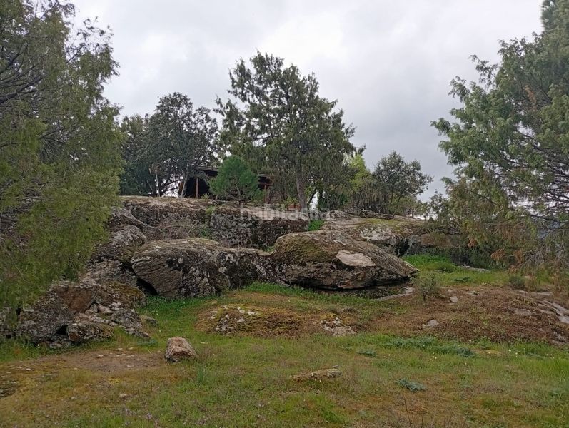 Foto 5cef0d19-d0b1-4b99-9683-915b4e609b8e. Finca rústica a Tiemblo (El)