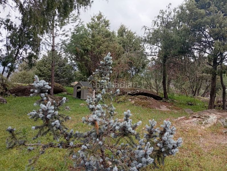 Foto 72200ba9-35d9-44bd-91b5-f54f6667c086. Finca rústica a Tiemblo (El)