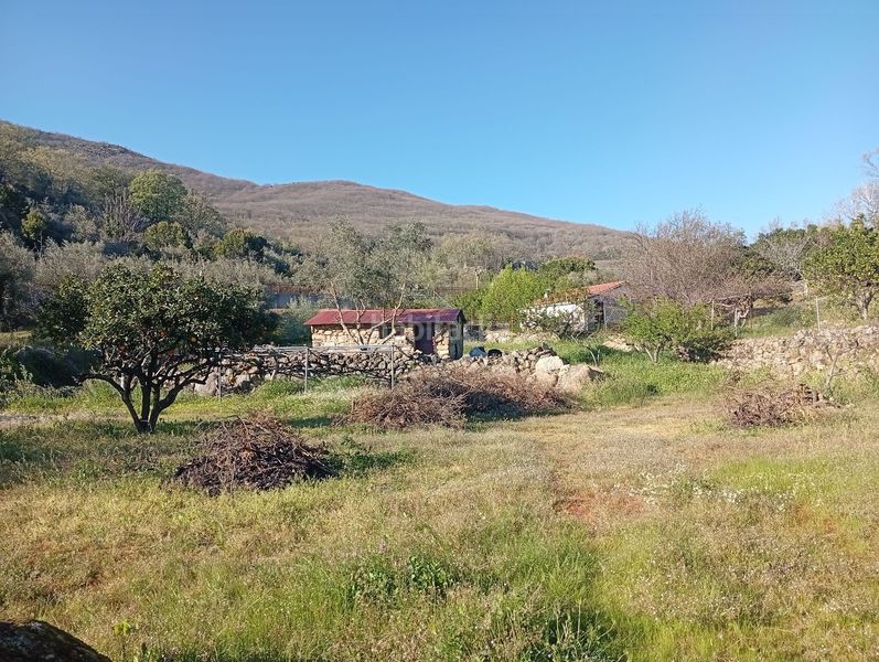 Foto 18dcd0b6-5375-49b3-891e-cf00aaabceb0. Rural plot in Valverde de la Vera