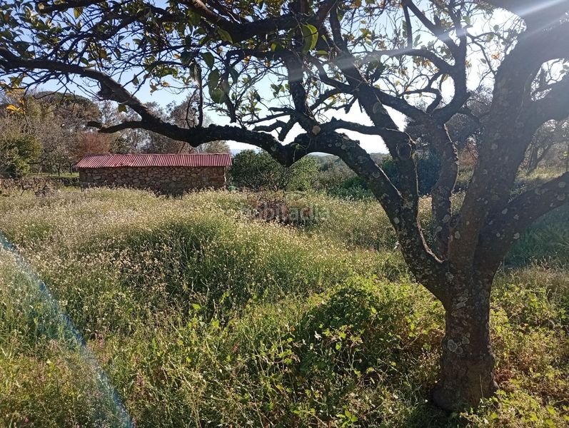 Foto 4f0f8843-ff9a-4d98-a2dd-75073dc29254. Rural plot in Valverde de la Vera