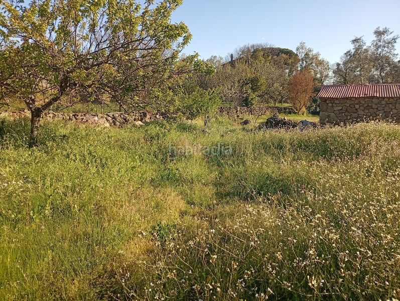Foto 5f115f6d-de78-4d00-80f5-b6db66f6af26. Rural plot in Valverde de la Vera