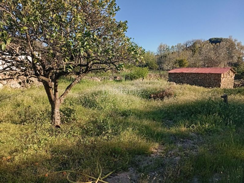 Foto 62a28d23-949e-4578-a366-766837b4f040. Rural plot in Valverde de la Vera