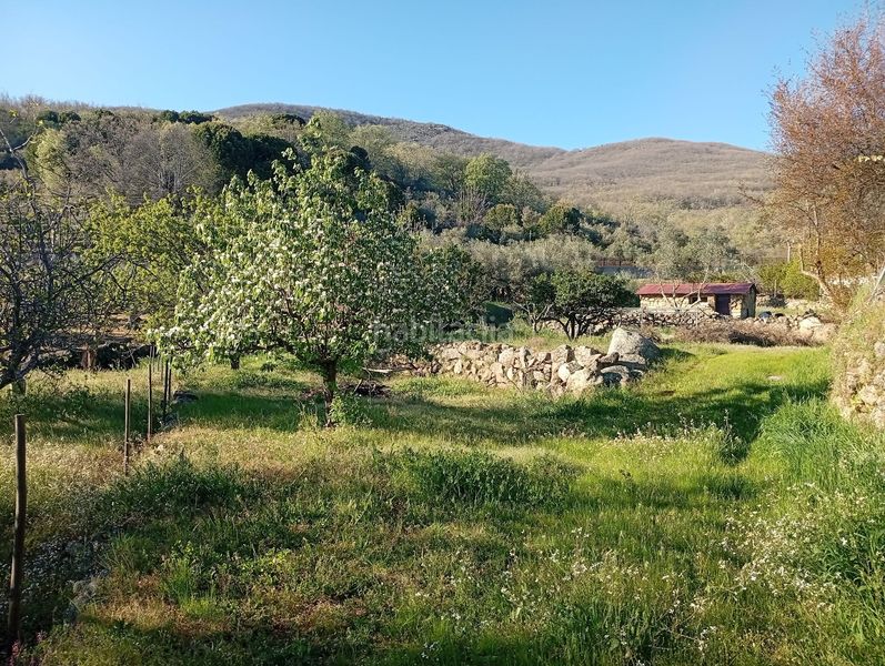 Foto 9c9017c4-e3f5-47b1-b0fc-46a5e62ca716. Rural plot in Valverde de la Vera