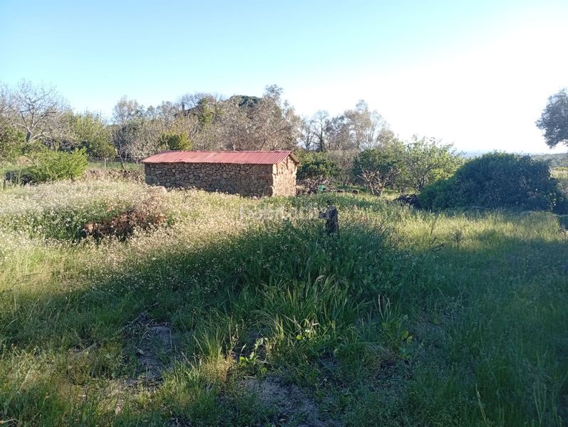 Foto a8a525cf-95bd-41b2-9193-37d1f85fbbe8. Rural plot in Valverde de la Vera