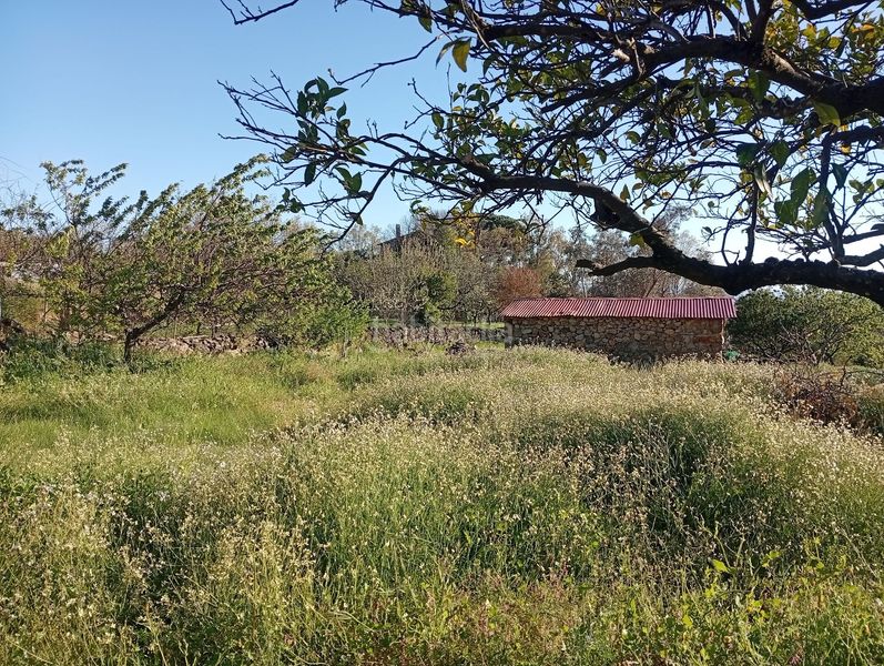Foto add75976-2423-4e87-8bf9-4840a328192f. Rural plot in Valverde de la Vera