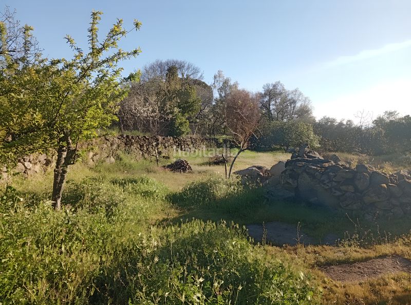 Foto b31c6a3a-15bf-4826-a23f-f124b0fdfc6f. Rural plot in Valverde de la Vera