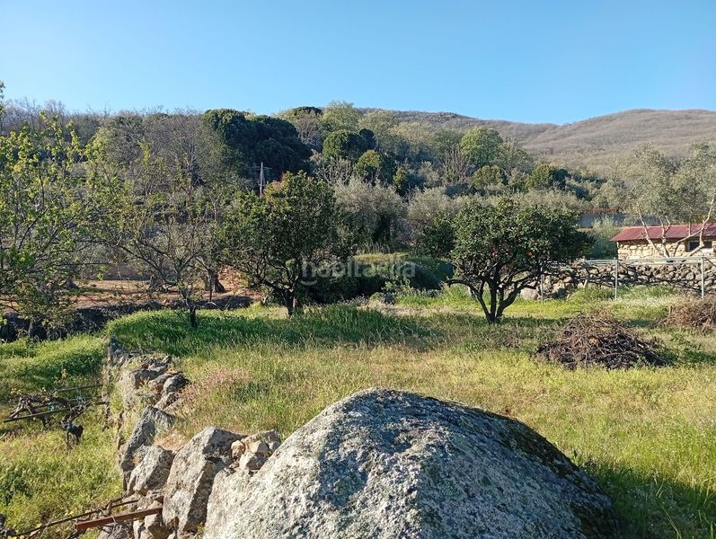 Foto c390591d-7ac5-4a78-abca-9002639bf787. Rural plot in Valverde de la Vera