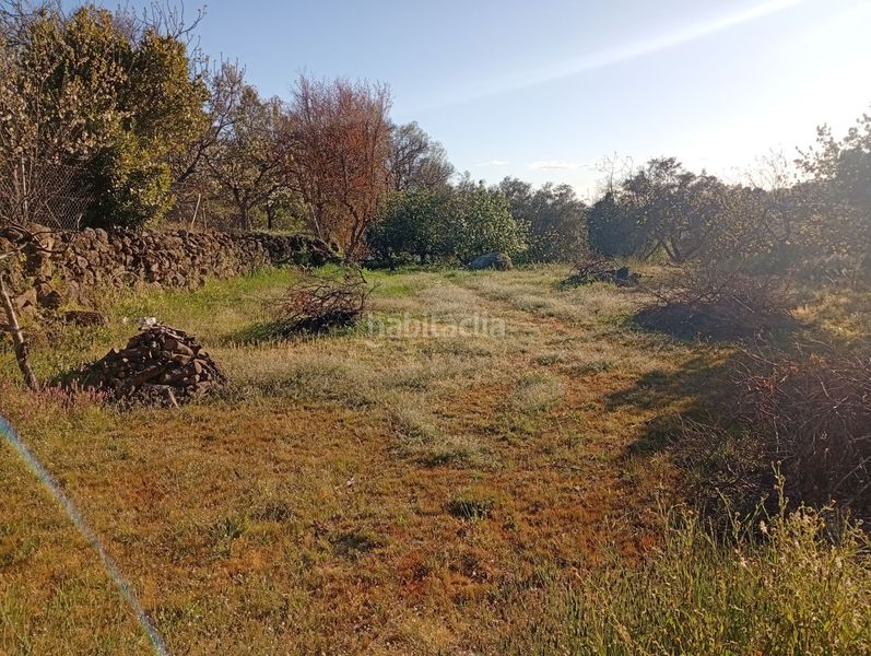 Foto fc6a2c70-10d7-45a0-b5e8-bb021e630ecd. Rural plot in Valverde de la Vera