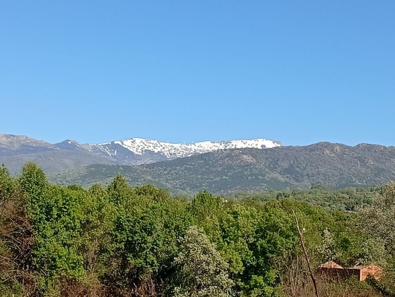 Foto 0580a575-e0df-4310-8641-c10c8d11635a. Finca rústica a Talaveruela de la Vera