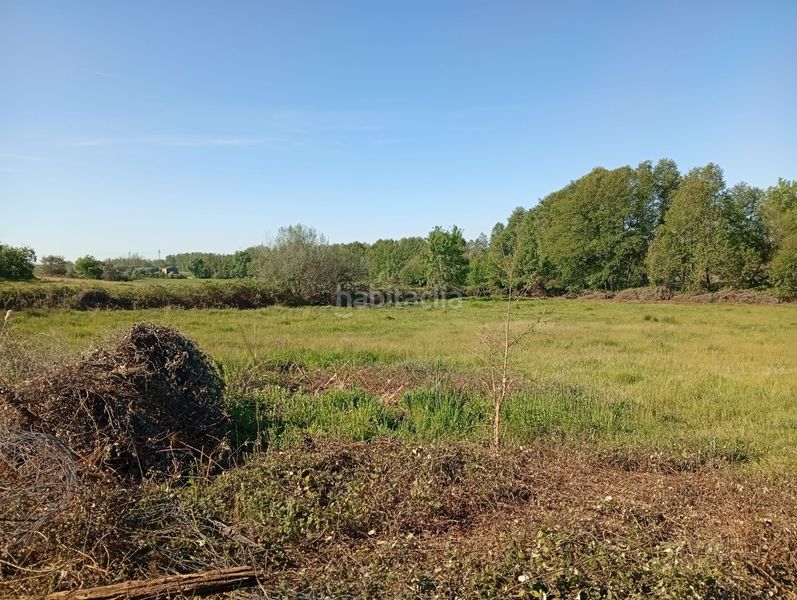 Foto 0b6f6deb-f2e5-4ec7-8d2a-ee0c213ade35. Finca rústica a Talaveruela de la Vera