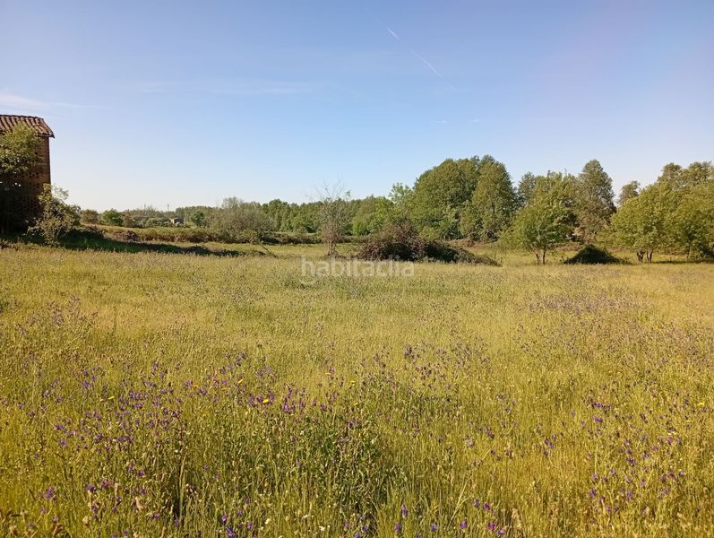 Foto 14b1d297-35e0-4a6e-a774-ec7ce7225ab8. Finca rústica a Talaveruela de la Vera