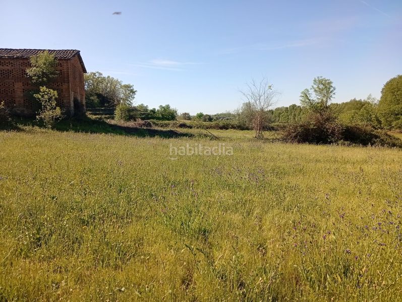 Foto 152259db-bca2-4f0a-8bde-5a6f98694ce2. Finca rústica a Talaveruela de la Vera