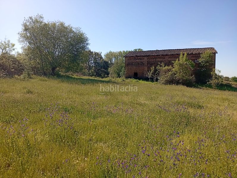 Foto 162b1979-bbe6-4750-9ee3-73b10ed65cd9. Finca rústica a Talaveruela de la Vera