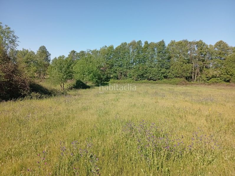 Foto 265339b9-f1be-4793-b7f0-e8653afc7d5a. Finca rústica a Talaveruela de la Vera