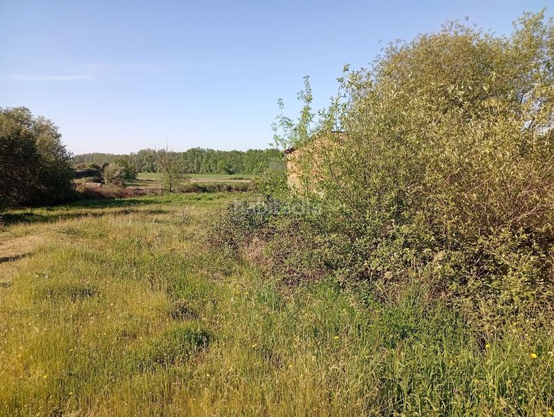 Foto 2e93b3fb-605a-4db4-9155-281bdd05aec5. Finca rústica a Talaveruela de la Vera