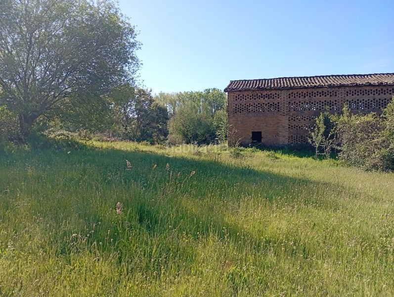 Foto 2e943815-71d5-43c5-b82d-4ed12e866f08. Finca rústica a Talaveruela de la Vera