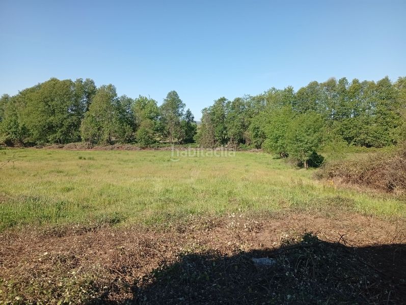 Foto 33895bd9-0a2d-4aa7-a7ec-b688d7a45d93. Finca rústica a Talaveruela de la Vera