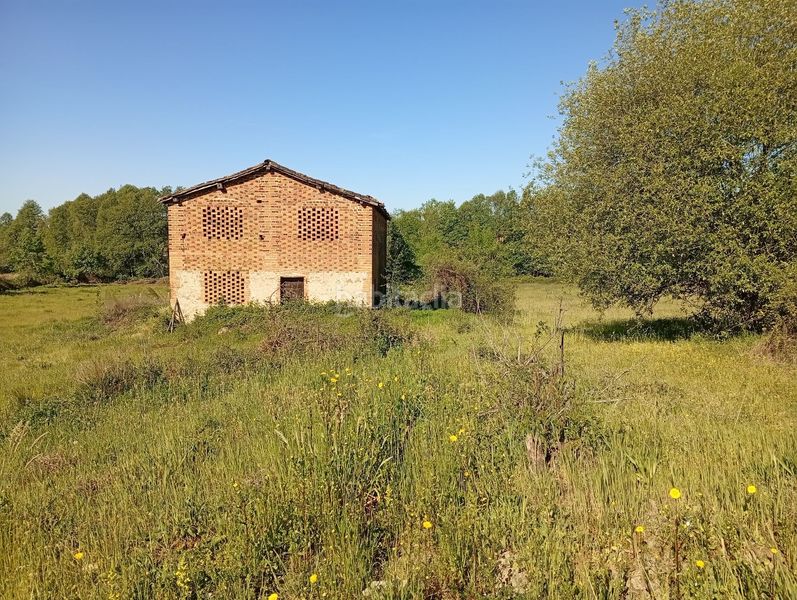 Foto 353ae909-f679-4bf4-a6c1-38c2d09bf7df. Finca rústica a Talaveruela de la Vera