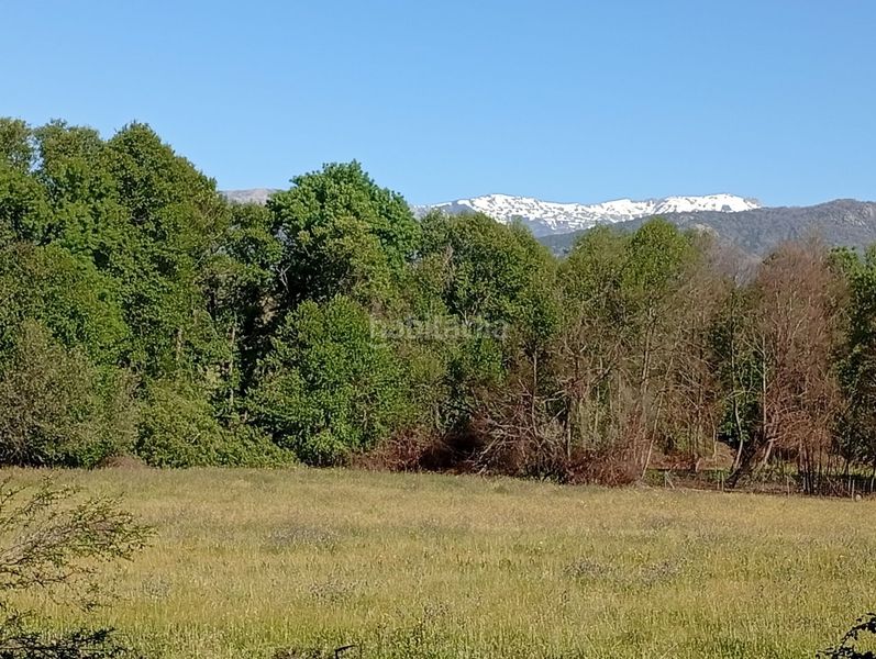 Foto 356c4355-9e1e-42e4-977e-bce3dcca643f. Finca rústica a Talaveruela de la Vera