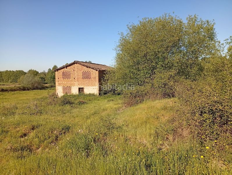 Foto 3cc0f57d-d78c-4ade-b7af-d9cbf34c5448. Finca rústica a Talaveruela de la Vera