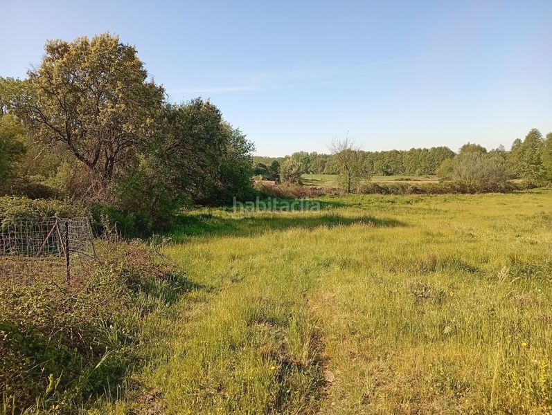 Foto 3f6ae82f-a772-4047-b06a-f44363d80ef5. Finca rústica a Talaveruela de la Vera