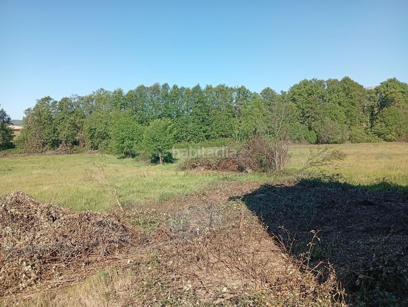 Foto 475e15e9-47c7-41ca-92cd-20b4c56b0166. Finca rústica a Talaveruela de la Vera