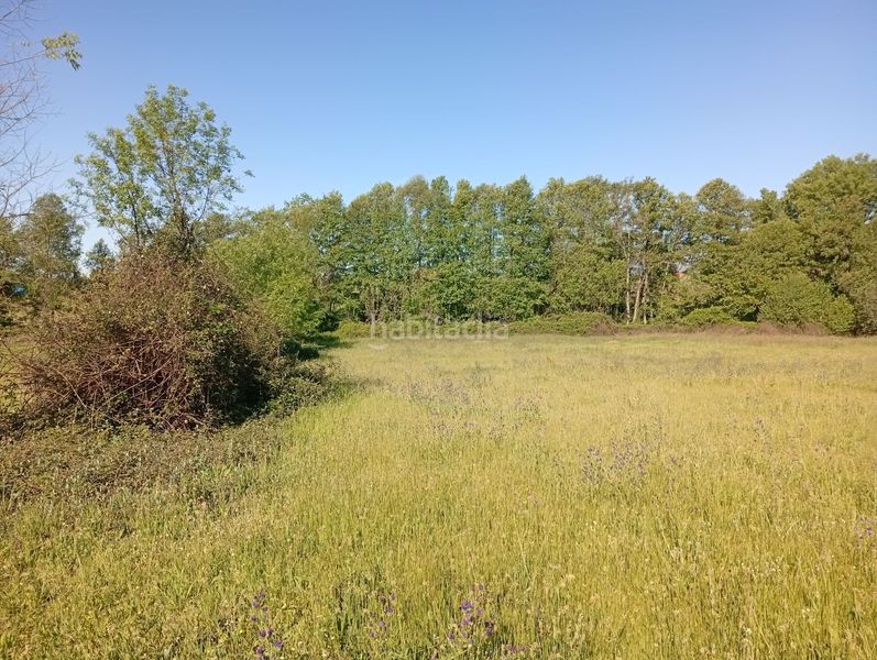 Foto 4e1242c8-6783-4962-b4da-bff7e2ecd59f. Finca rústica a Talaveruela de la Vera