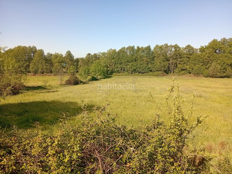 Foto 521b27c3-2be9-4526-91bd-87ccba4bb15b. Finca rústica a Talaveruela de la Vera