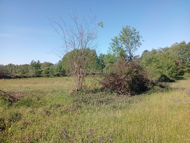 Foto 54745532-475d-467f-8713-184fb0d8d4a5. Finca rústica a Talaveruela de la Vera