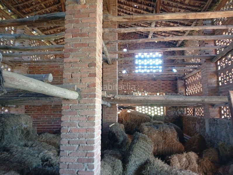 Foto 575881d1-64e3-4120-9c39-ce3deafd4319. Finca rústica a Talaveruela de la Vera