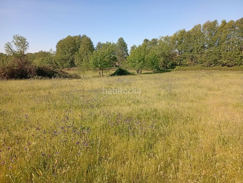Foto 59332705-a00a-418c-9b21-de08320393df. Finca rústica a Talaveruela de la Vera