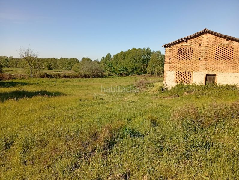 Foto 5b094ba4-b3cd-46c1-b742-dfebfe830c2f. Finca rústica a Talaveruela de la Vera