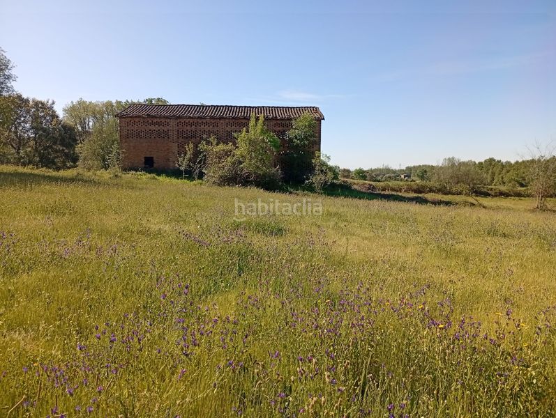 Foto 5d229c15-29ae-4a27-8d1c-305925d9e270. Finca rústica a Talaveruela de la Vera