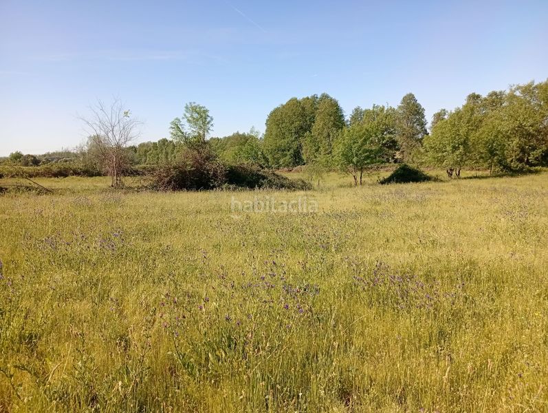 Foto 67be7059-669b-4fc3-aa69-f7cbc7b4a53e. Finca rústica a Talaveruela de la Vera