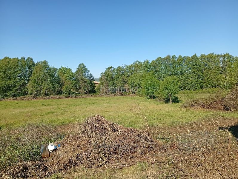 Foto 6b45e7b2-a80c-4b7c-8bd6-2da14bd7d723. Finca rústica a Talaveruela de la Vera