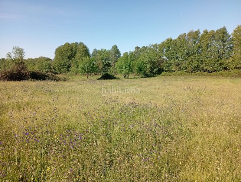 Foto 74cc96a3-9d45-4727-b9d2-362e8ac88e92. Finca rústica a Talaveruela de la Vera