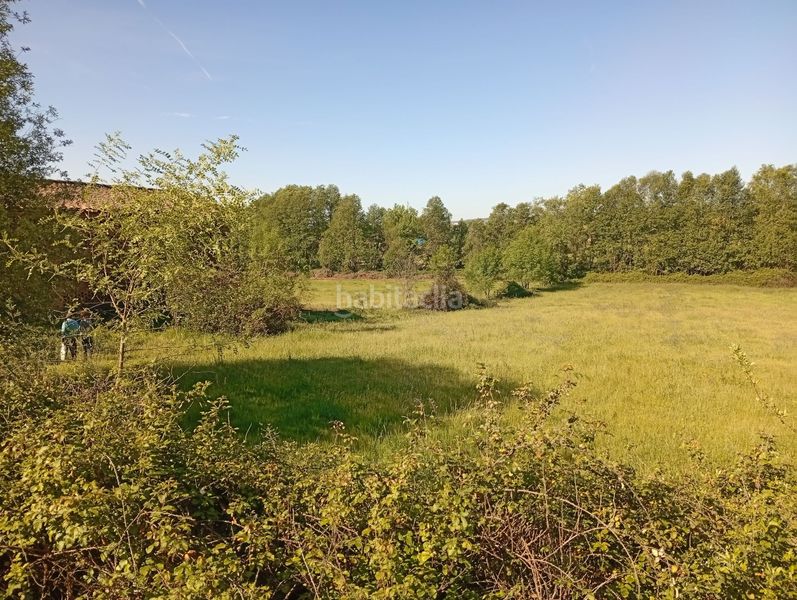 Foto 759911c6-890f-42ac-911d-053677f80d85. Finca rústica a Talaveruela de la Vera