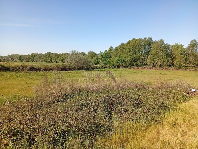 Foto 84ca7547-88a2-48d8-ba29-05b027d329dd. Finca rústica a Talaveruela de la Vera