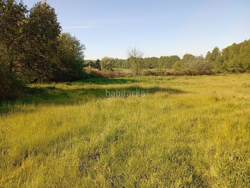 Foto 8b8959c3-f422-4da8-b1c6-b5e74017d148. Finca rústica a Talaveruela de la Vera