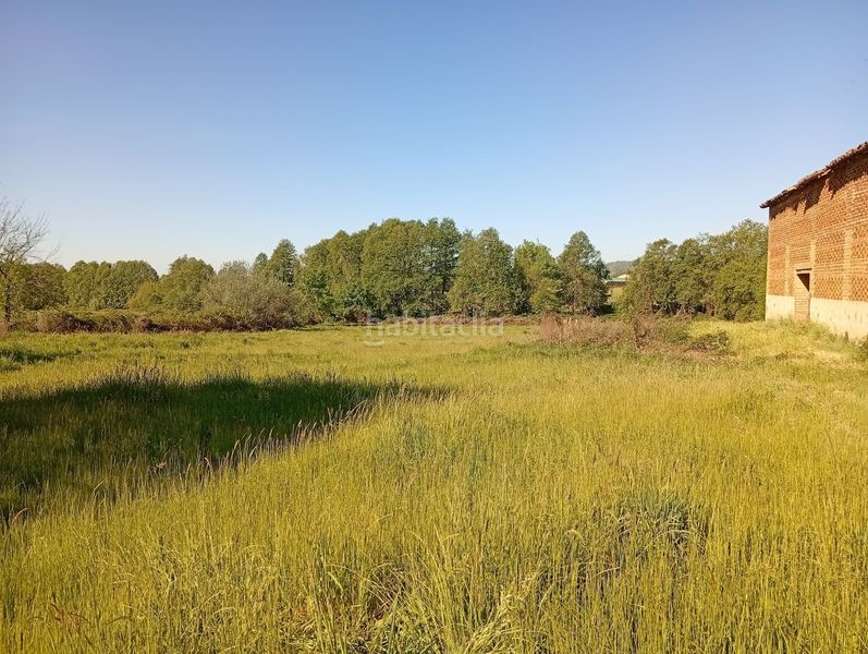 Foto 979b1435-7222-4b18-afec-9750f8ddd4b4. Finca rústica a Talaveruela de la Vera