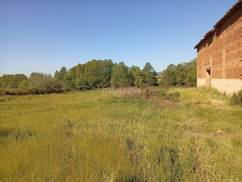 Foto 9c9a3839-deca-4de5-a235-cc986ee20e6a. Finca rústica a Talaveruela de la Vera