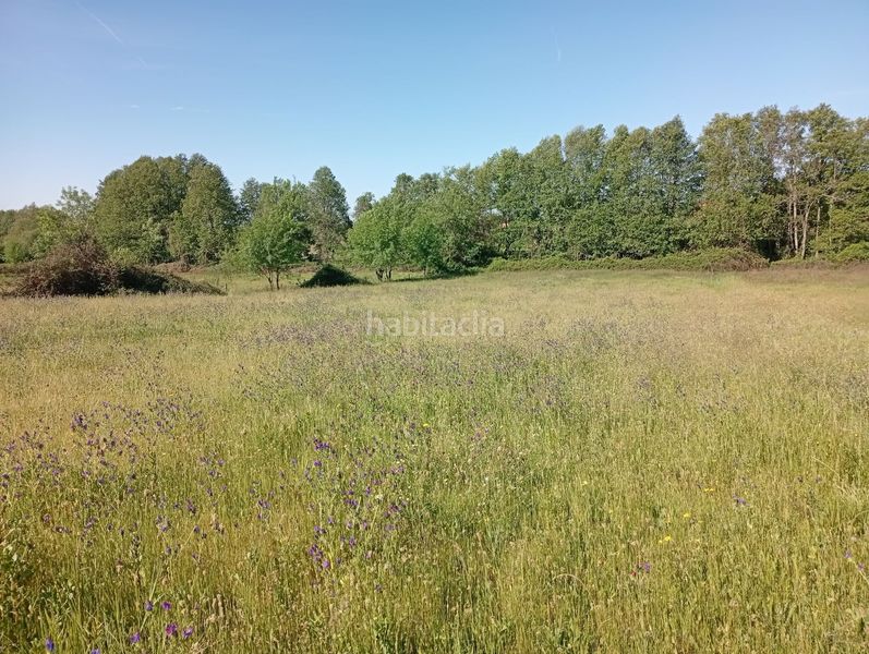 Foto 9f9dd288-4857-4ca6-b569-6bf5b01555f9. Finca rústica a Talaveruela de la Vera