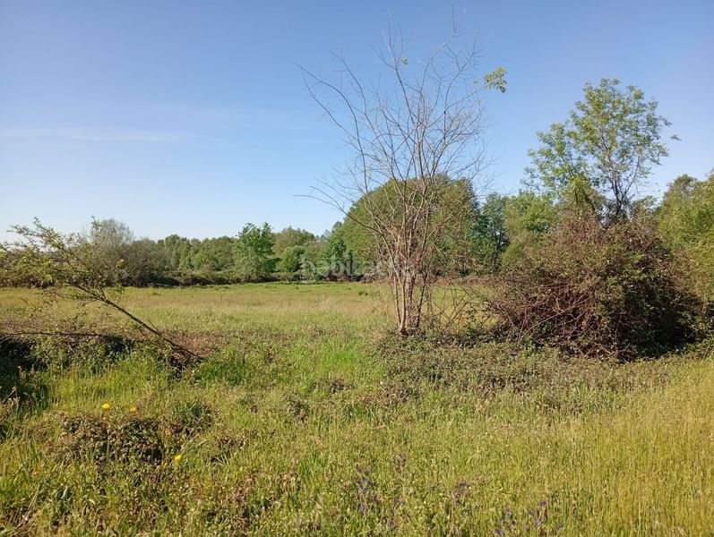 Foto a39259a8-2d75-4f2b-ac98-3c2c2b5d7295. Finca rústica a Talaveruela de la Vera