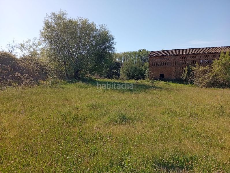 Foto aa8c06c6-0d69-41c1-af66-f72e144438bf. Finca rústica a Talaveruela de la Vera