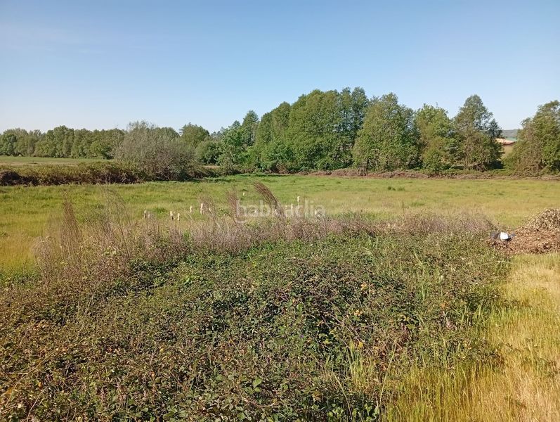 Foto b21fee30-87b9-47b6-ac3a-46c53b89f0ce. Finca rústica a Talaveruela de la Vera