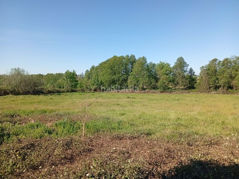 Foto b81bf089-af60-4298-93b8-2d49a24fa4d5. Finca rústica a Talaveruela de la Vera