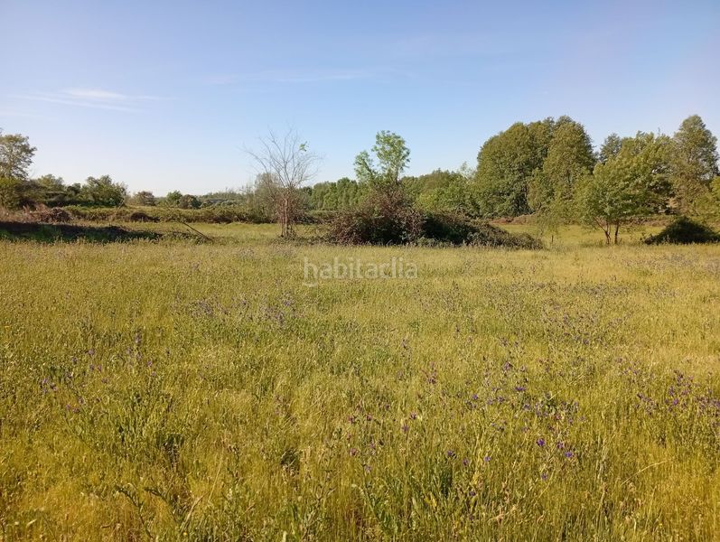 Foto b91197b4-80a9-4ec8-8482-aa0232ea8e30. Finca rústica a Talaveruela de la Vera